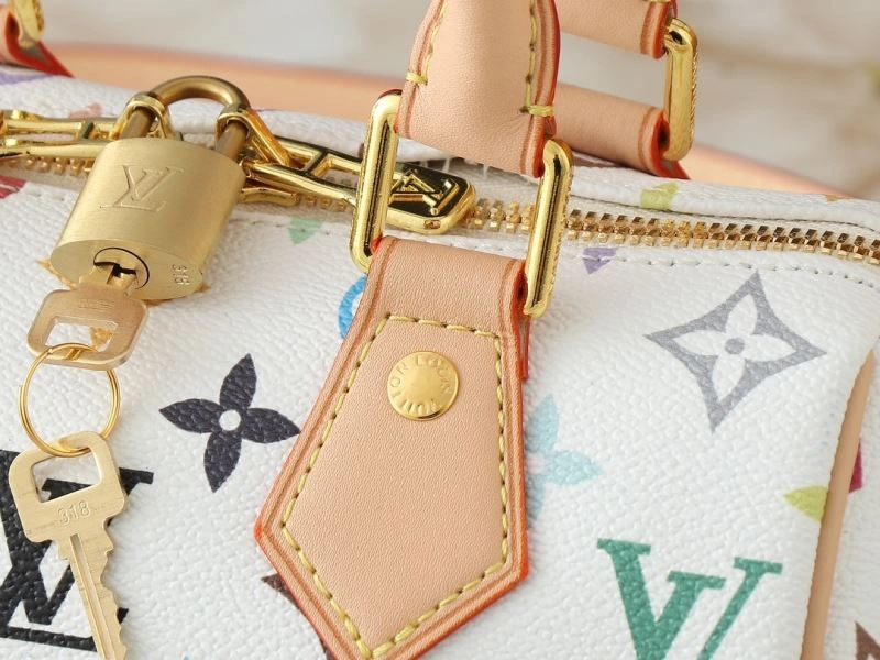 Louis Vuitton Speedy Bags HighQuality 80343