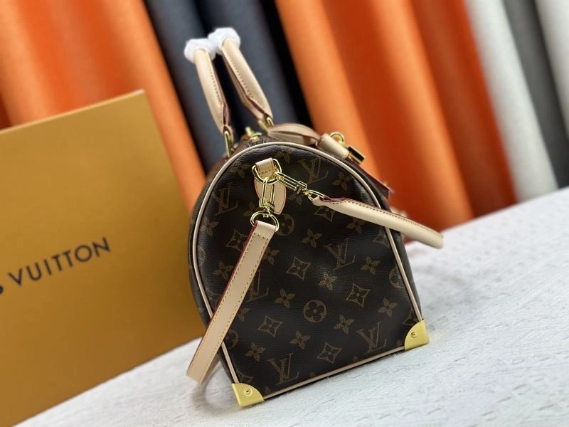 Colorful Louis Vuitton Speedy Bags 80359