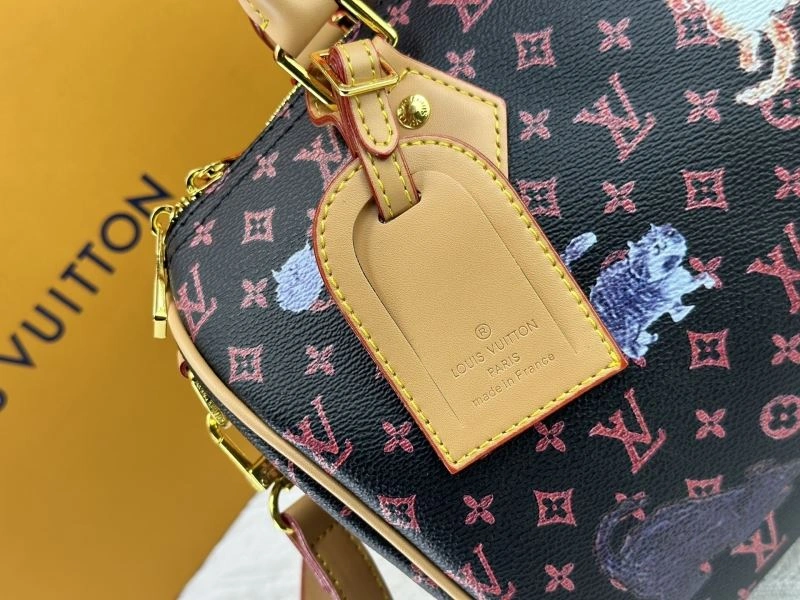 Louis Vuitton Speedy Bags Durable 78890