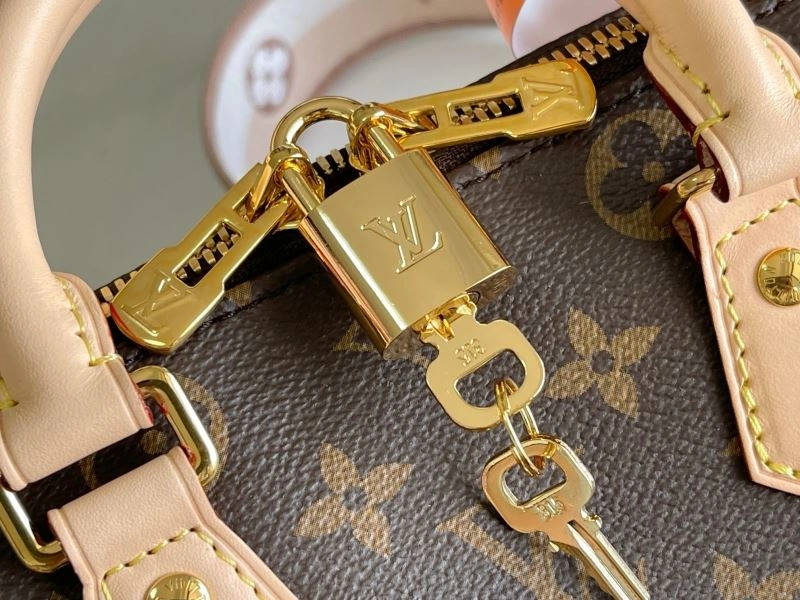 ZeroBulk Louis Vuitton Speedy Bags 93948