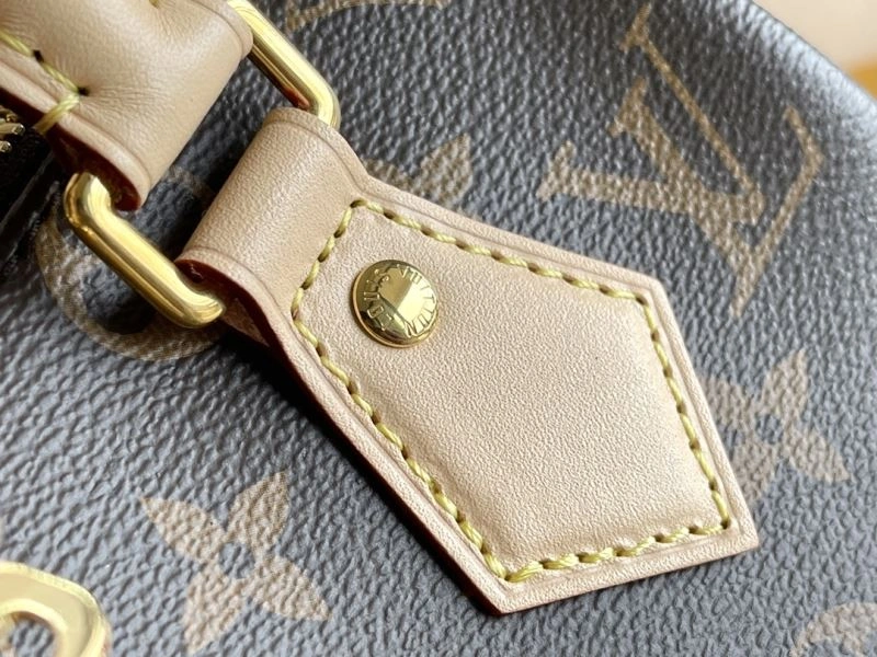 Louis Vuitton Speedy Bags Vibrant 93918