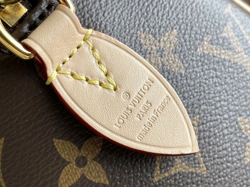 Louis Vuitton Speedy Bags Vibrant 93918