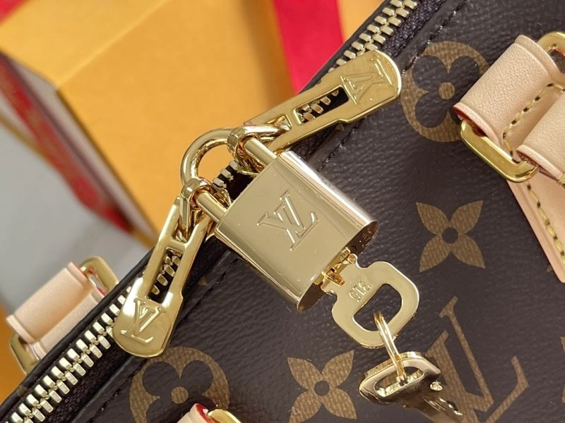 Louis Vuitton Speedy Bags Vibrant 93918