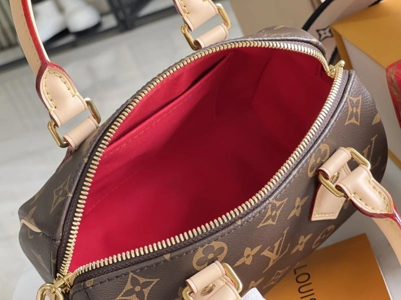 Louis Vuitton Speedy Bags Vibrant 93918
