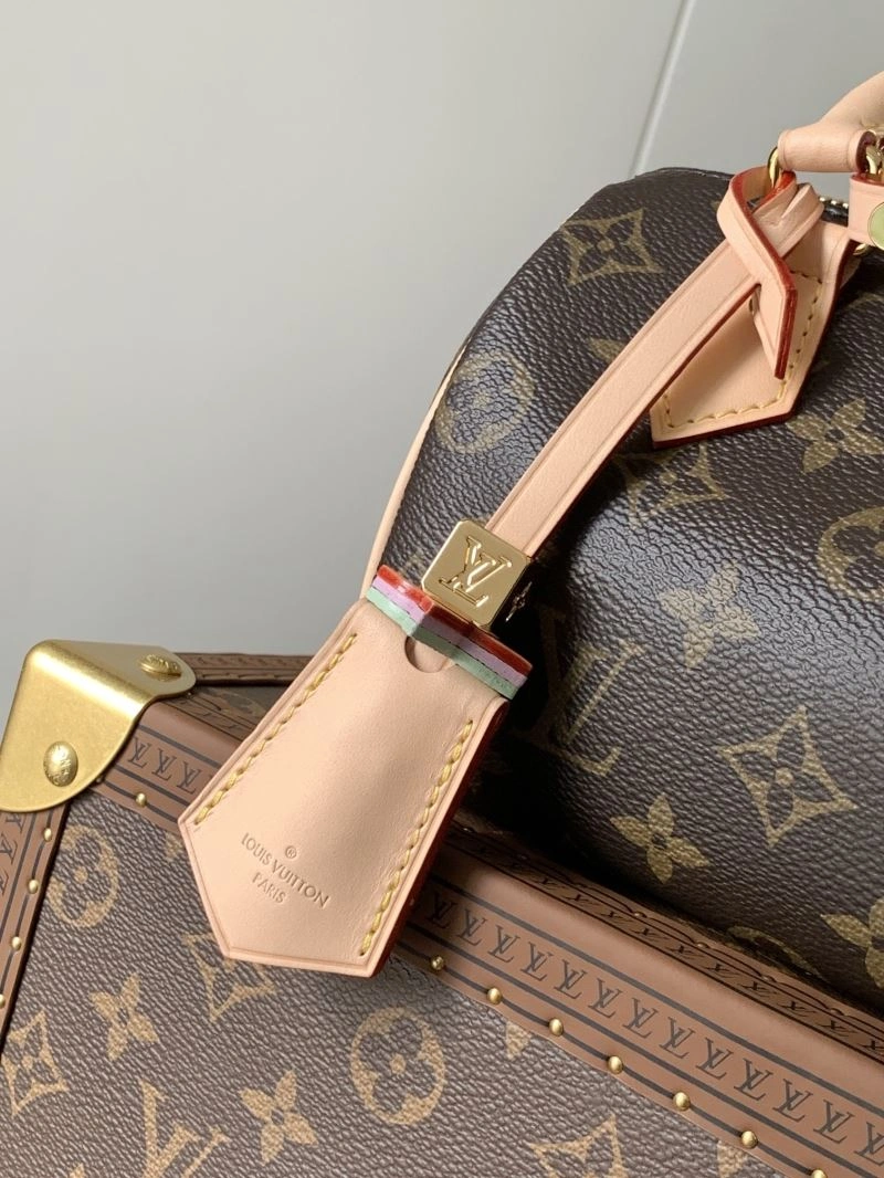 ZeroBulk Louis Vuitton Speedy Bags 93715