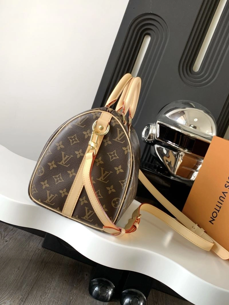Louis Vuitton Speedy Bags Modern 93718