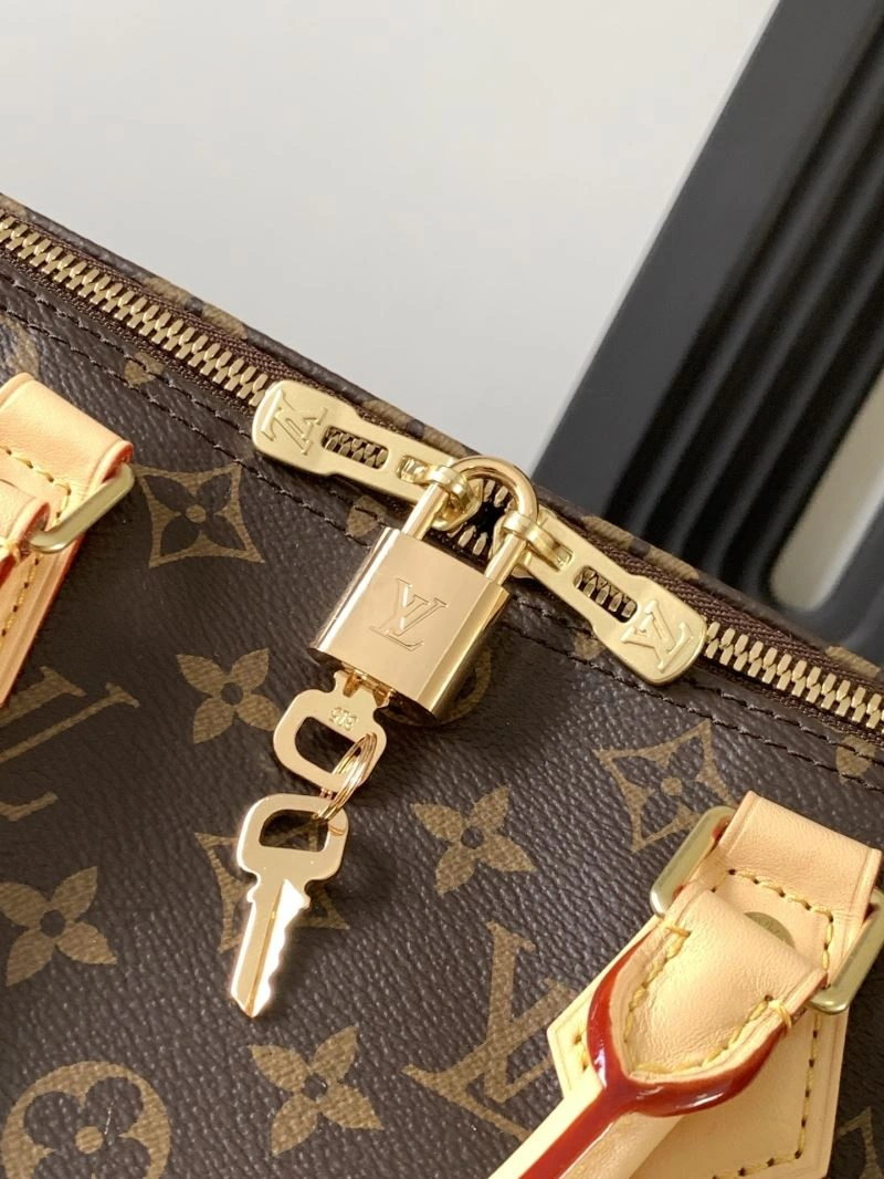 Louis Vuitton Speedy Bags Modern 93718