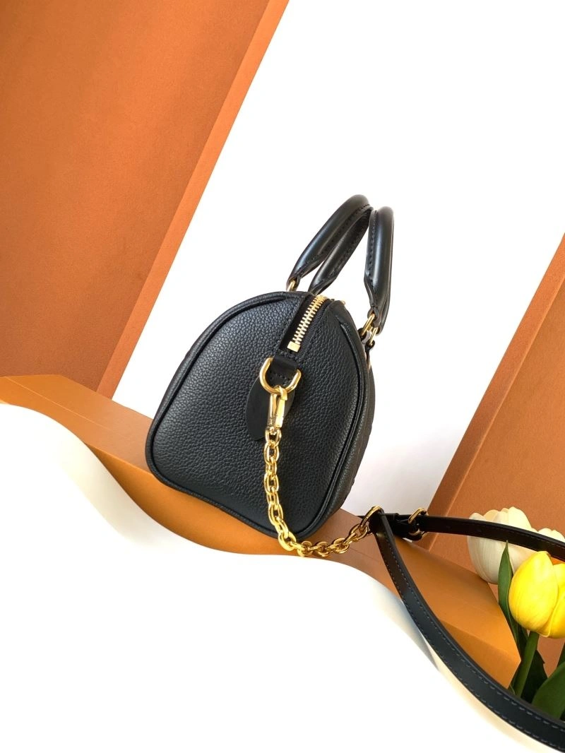 EasyMatch Louis Vuitton Speedy Bags 93748