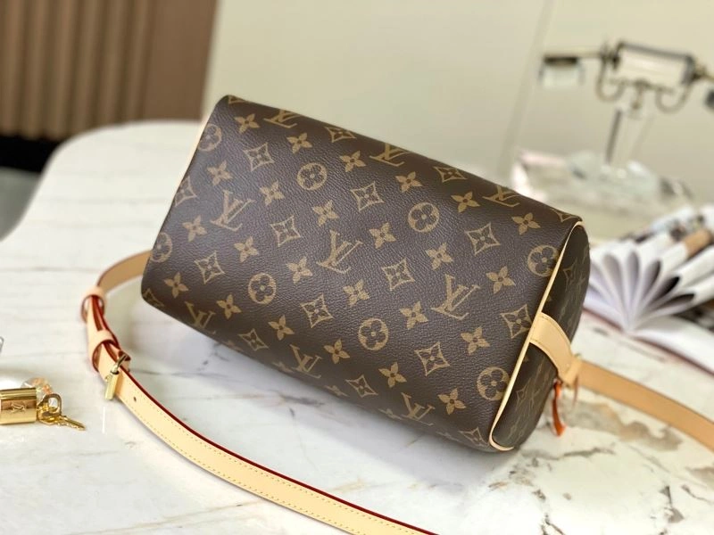 Louis Vuitton Speedy Bags EasyCare 93443