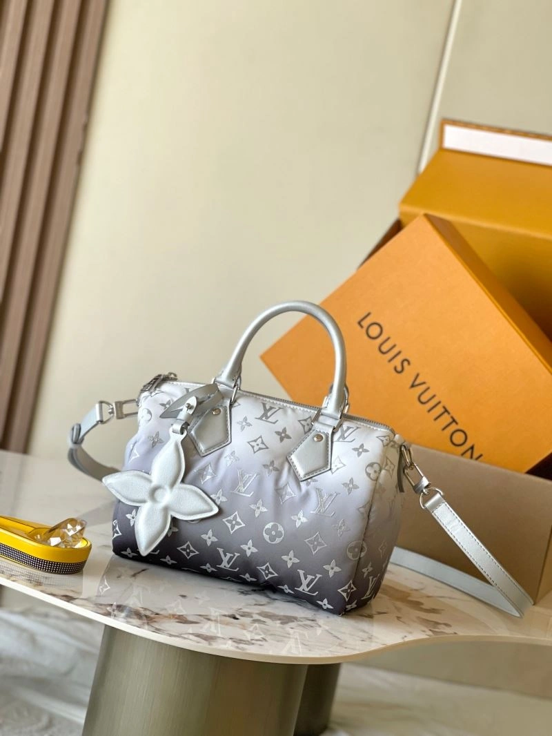 Snug Louis Vuitton Speedy Bags 93436