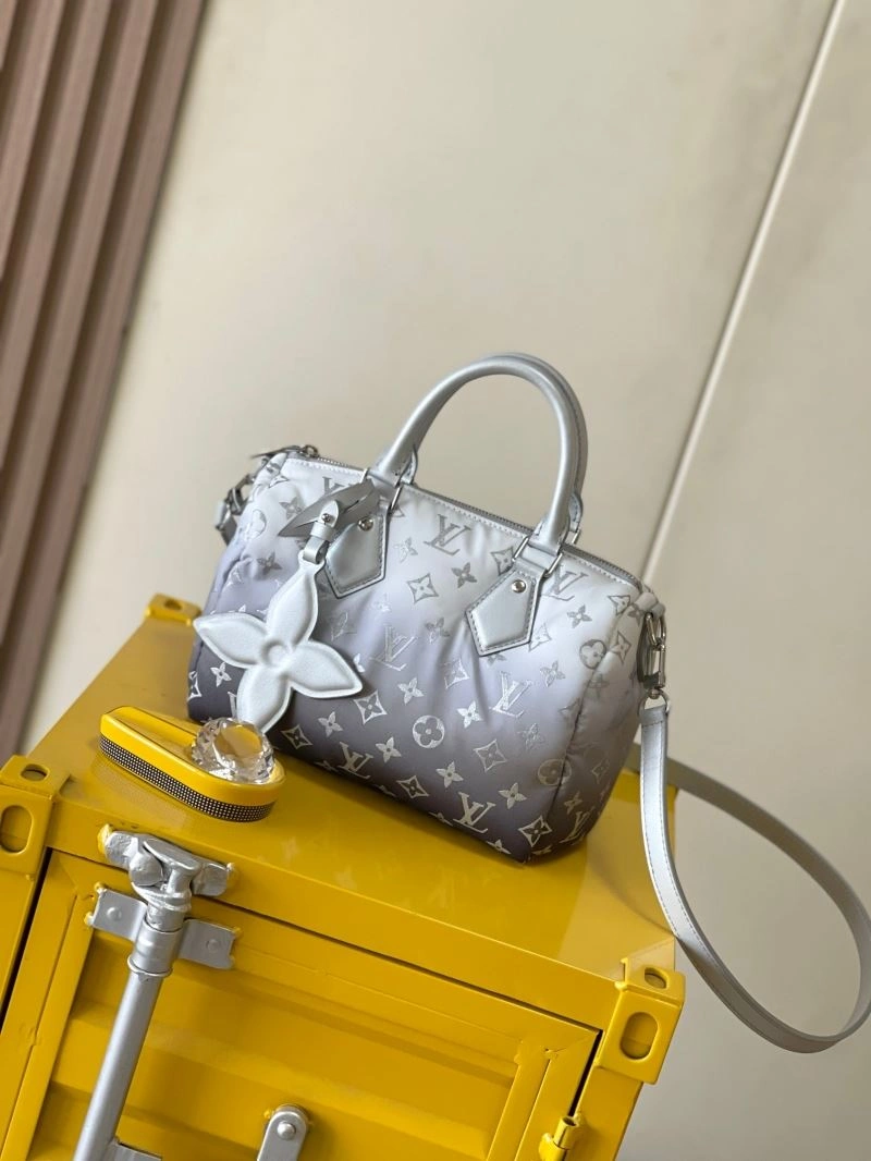 Snug Louis Vuitton Speedy Bags 93436