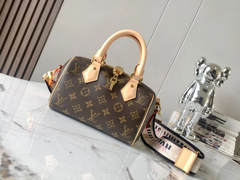 DailyWear Louis Vuitton Speedy Bags 93432