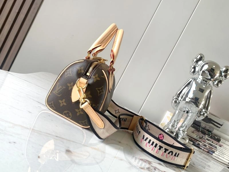 DailyWear Louis Vuitton Speedy Bags 93432