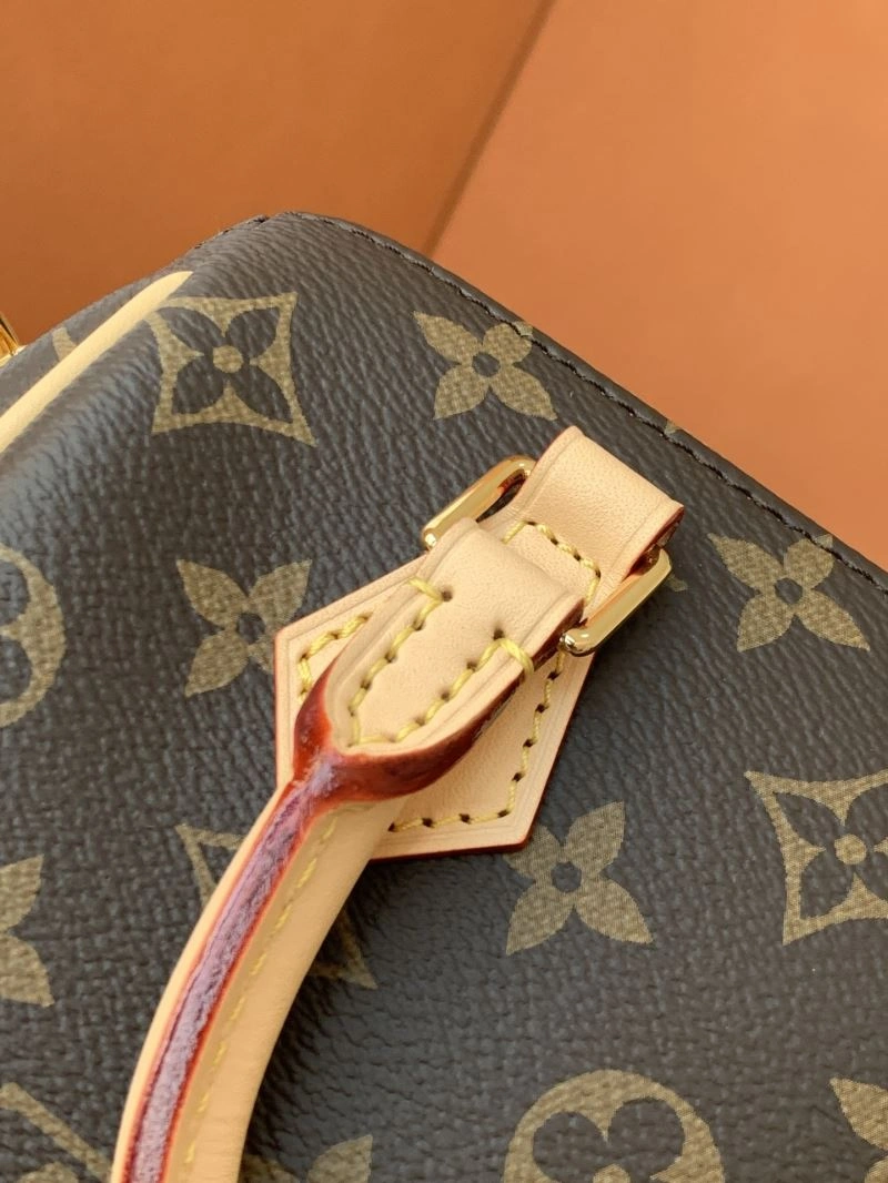 Lightweight Louis Vuitton Speedy Bags 93431
