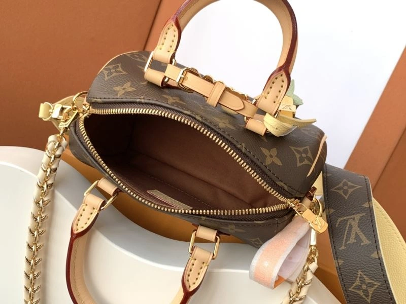 Lightweight Louis Vuitton Speedy Bags 93431