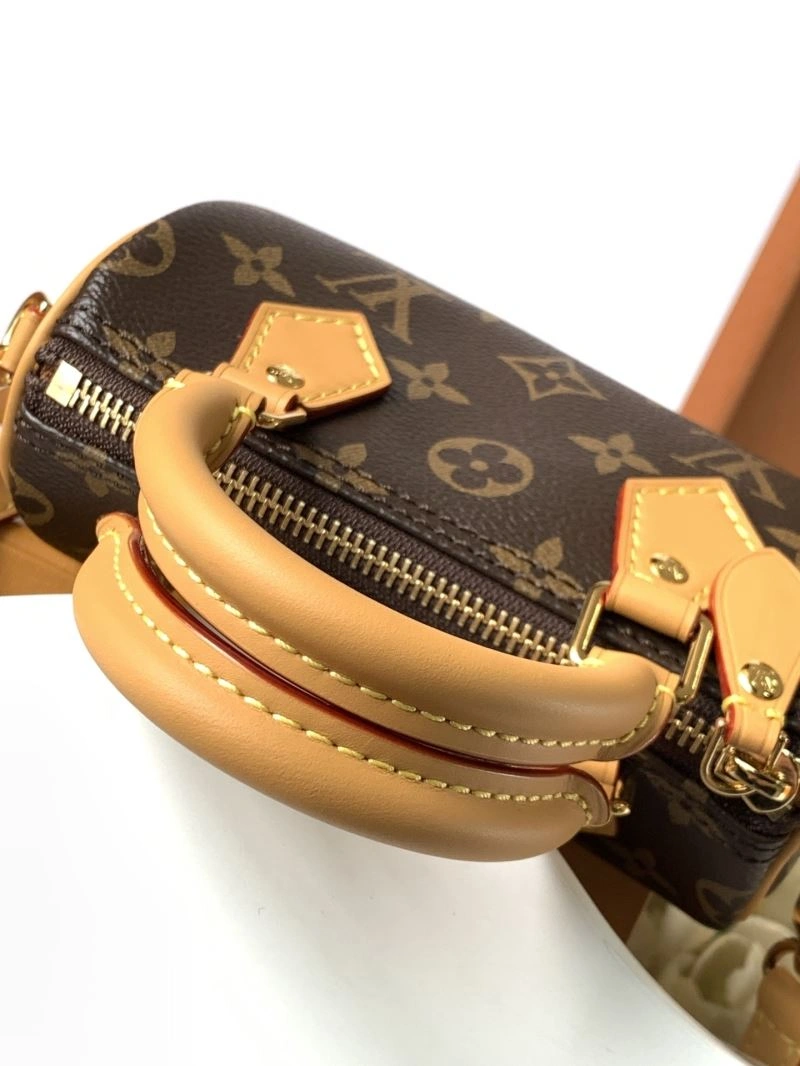 Colorful Louis Vuitton Speedy Bags 93414