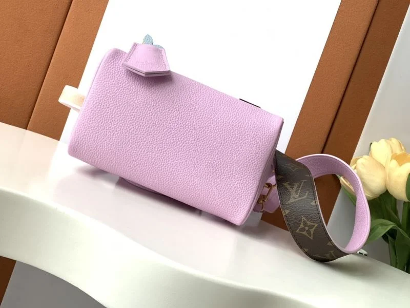 Louis Vuitton Speedy Bags Comfortable 43251