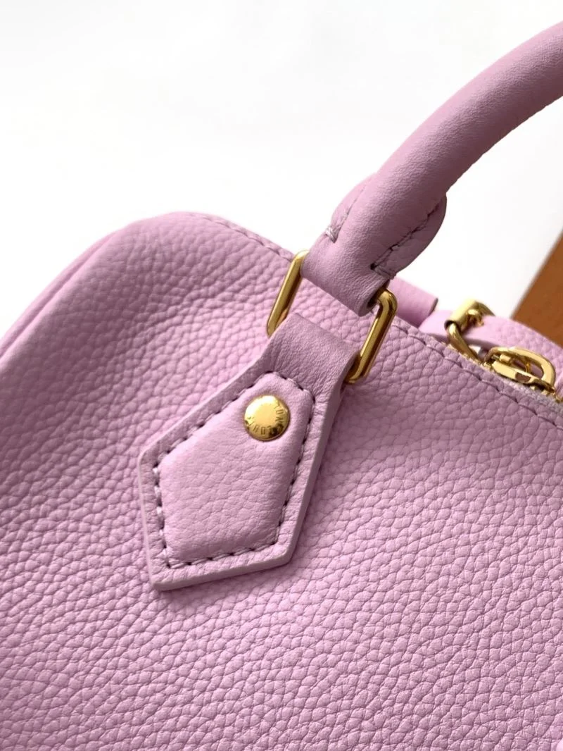 Louis Vuitton Speedy Bags Comfortable 43251