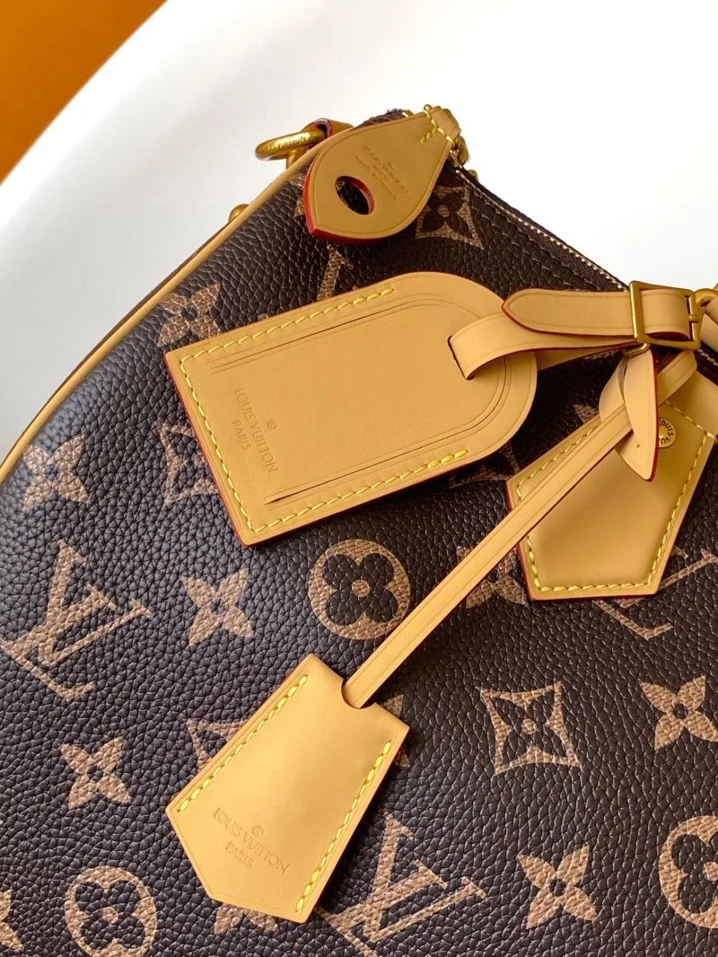 Louis Vuitton Speedy Bags WaterResistant 43253