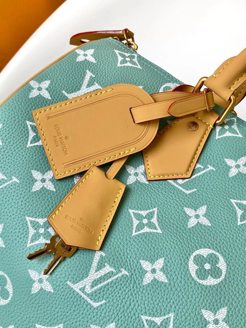 ZeroBulk Louis Vuitton Speedy Bags 43252