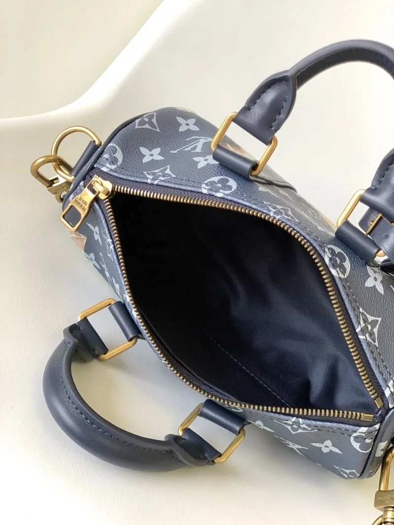 Louis Vuitton Speedy Bags Youthful 42418