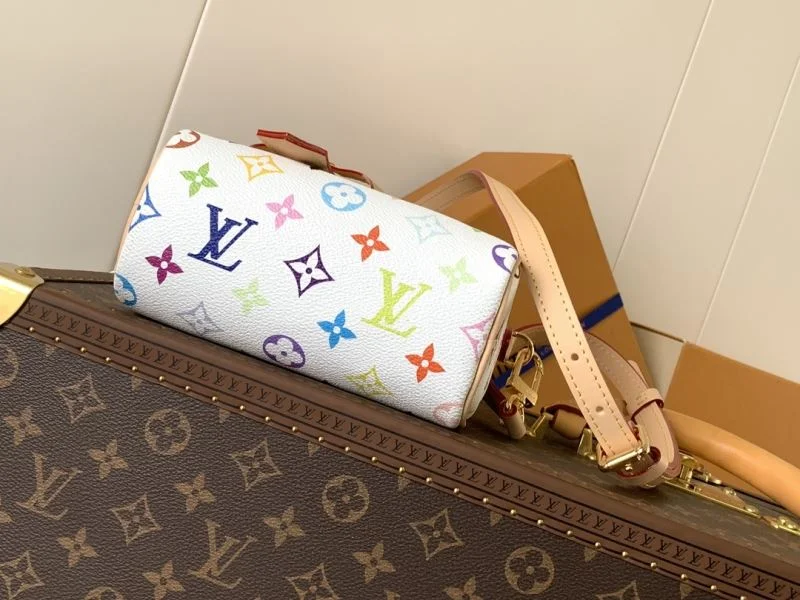 Louis Vuitton Speedy Bags EasyCare 42392