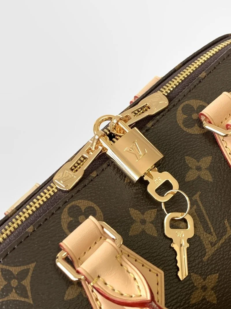 Chic Louis Vuitton Speedy Bags 42350