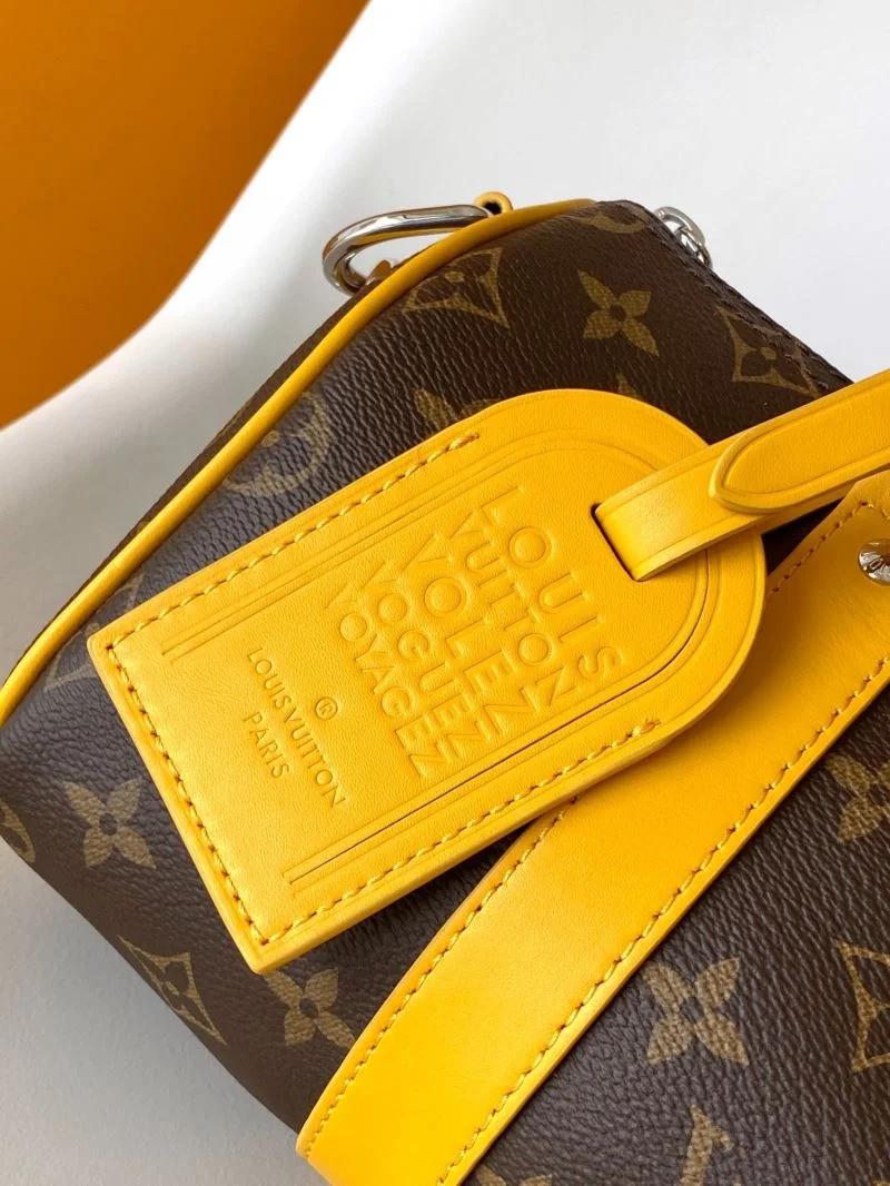 Louis Vuitton Speedy Bags Bright 42346
