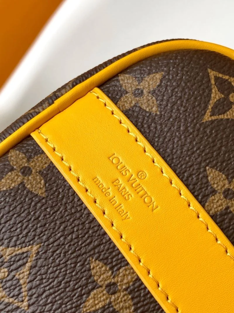 Louis Vuitton Speedy Bags Bright 42346