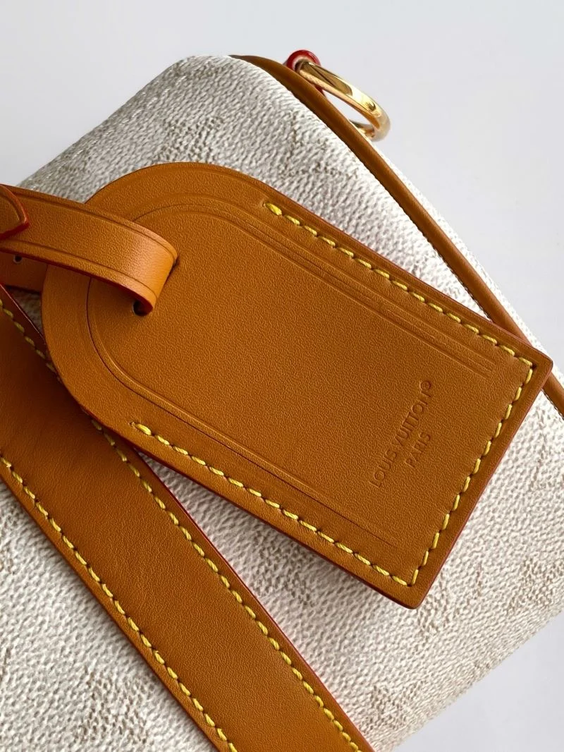 Louis Vuitton Speedy Bags FlexibleFit 42334