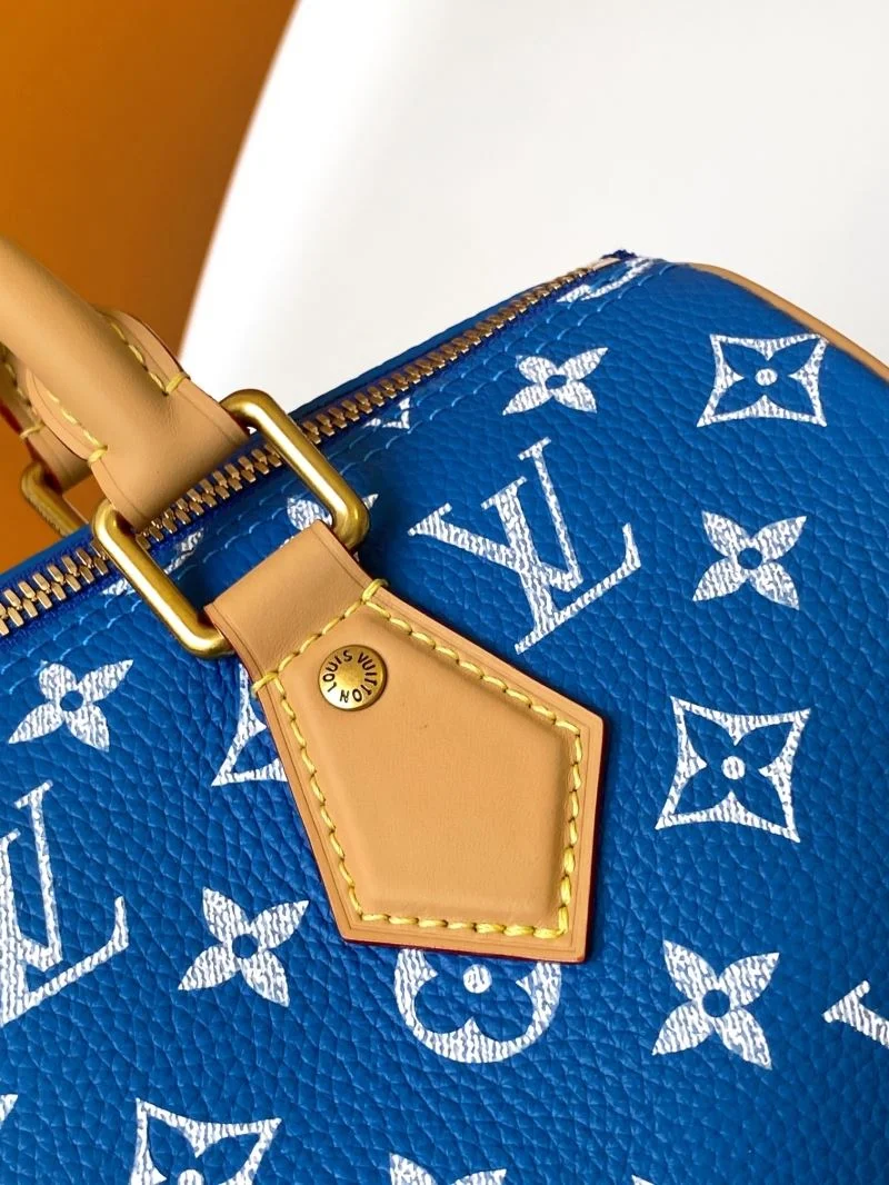 EyeCatching Louis Vuitton Speedy Bags 42349