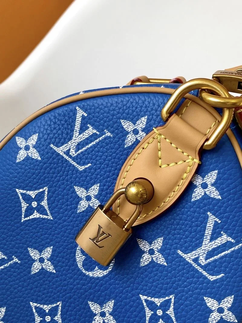 EyeCatching Louis Vuitton Speedy Bags 42349