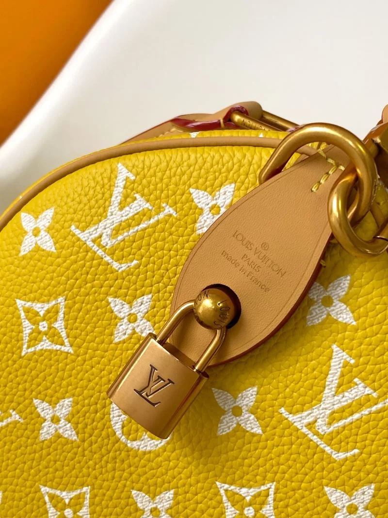 Louis Vuitton Speedy Bags HighPerformance 42312