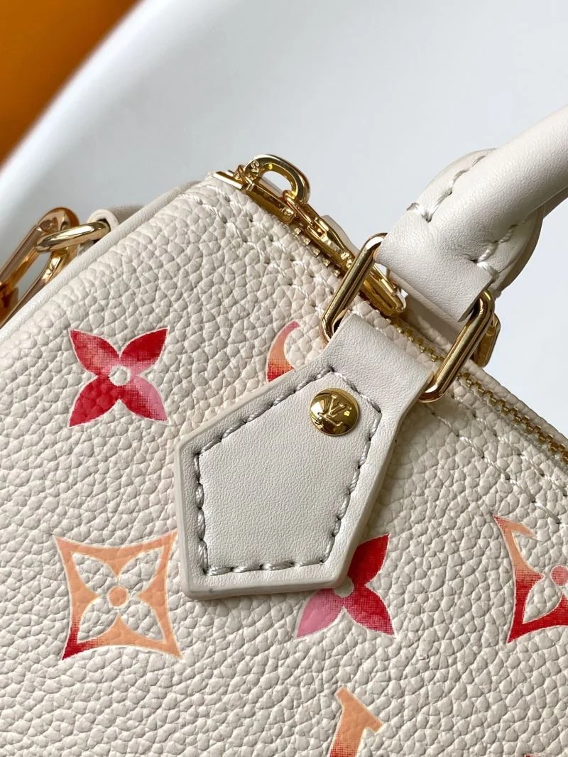 Louis Vuitton Speedy Bags Lightweight 41927