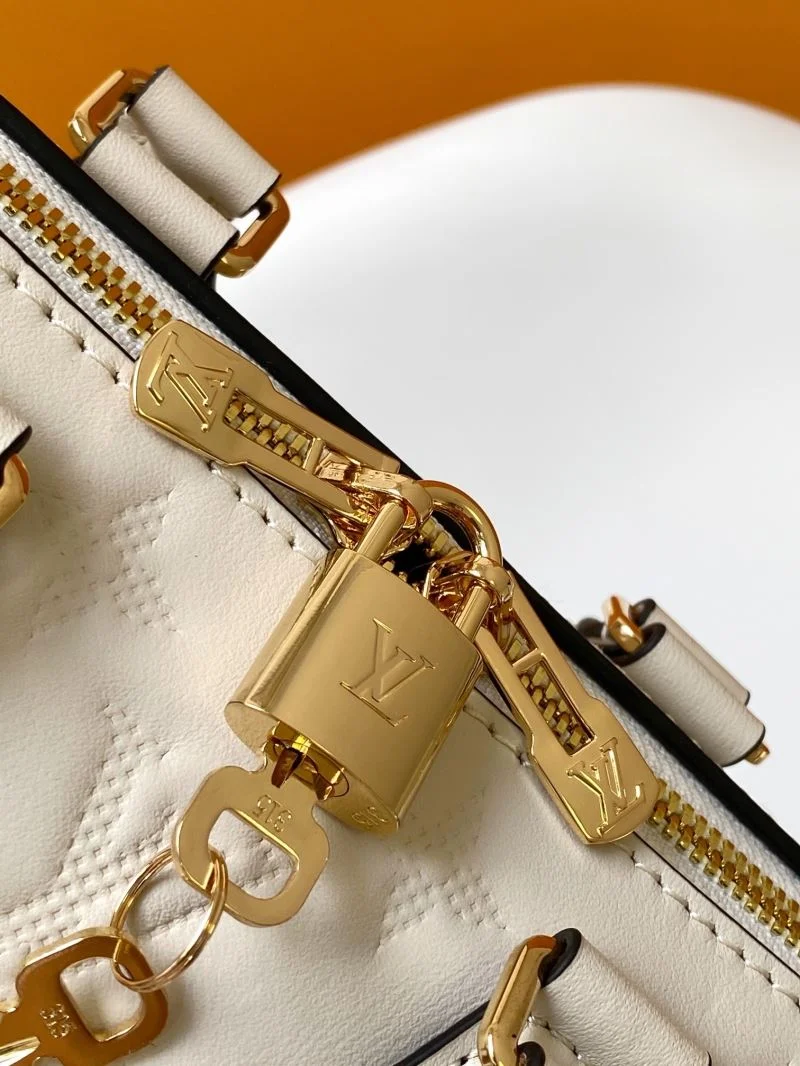 GoAnywhere Louis Vuitton Speedy Bags 41844