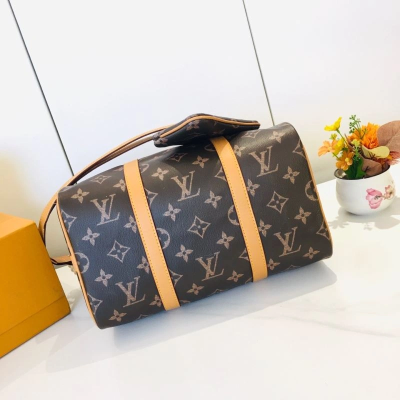 Classic Louis Vuitton Speedy Bags 87361