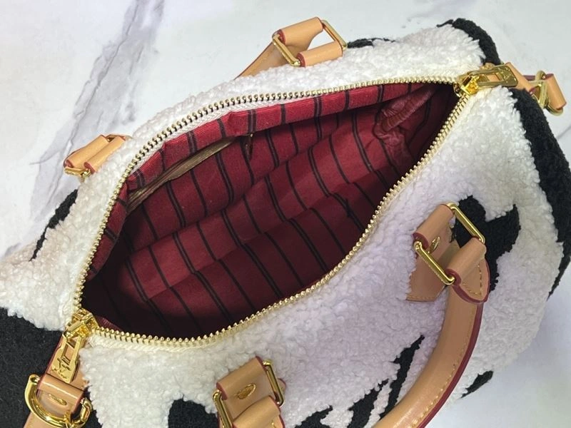 Affordable Louis Vuitton Speedy Bags 80083