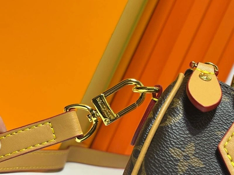 Youthful Louis Vuitton Speedy Bags 80077
