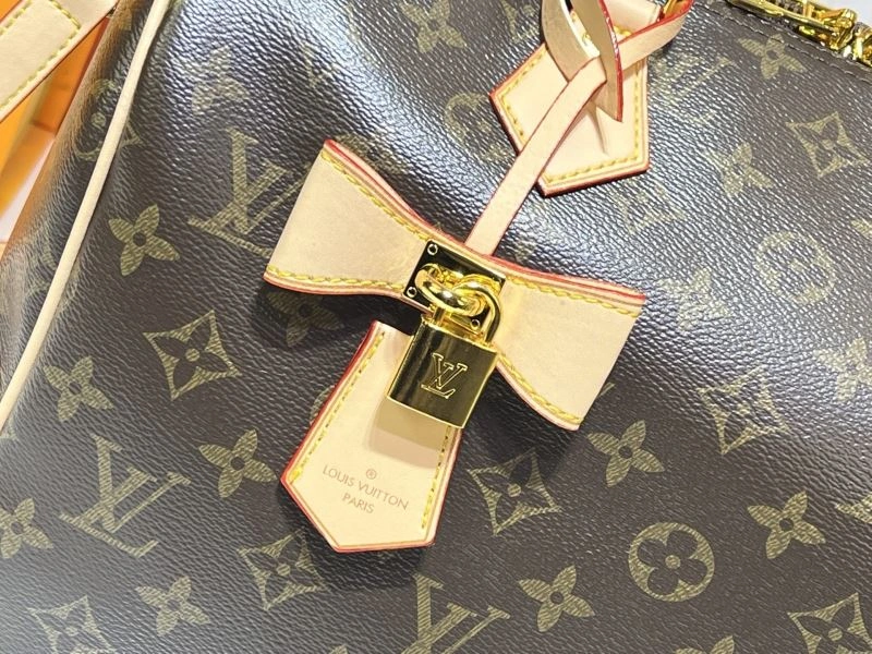 Louis Vuitton Speedy Bags Comfortable 80067