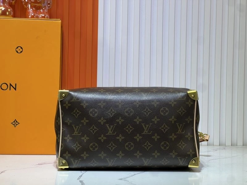 Louis Vuitton Speedy Bags Comfortable 80067