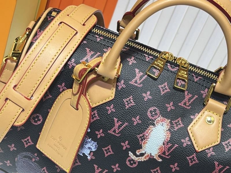 Comfortable Louis Vuitton Speedy Bags 80091