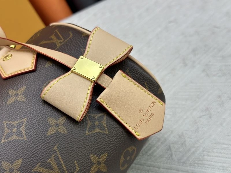 Louis Vuitton Speedy Bags UrbanChic 80524