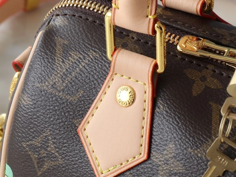 Louis Vuitton Speedy Bags Seasonal 88487