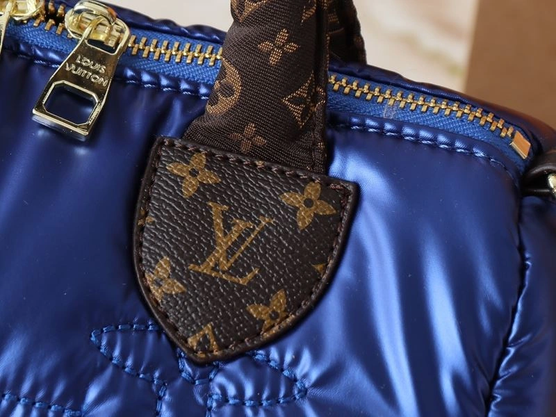 Louis Vuitton Speedy Bags Thermal 88484
