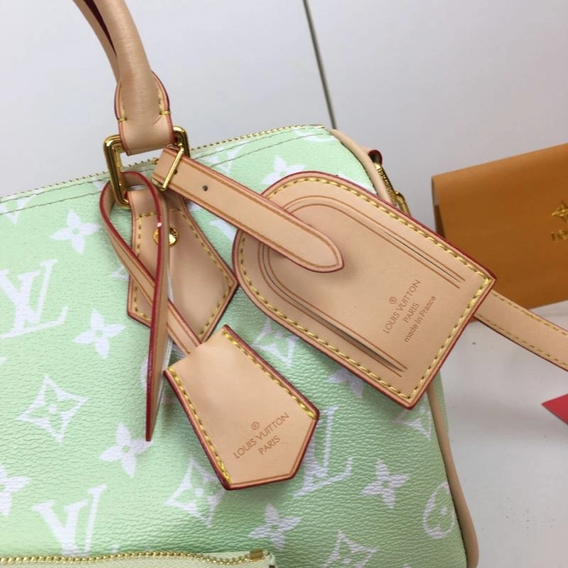Louis Vuitton Speedy Bags Practical 88474