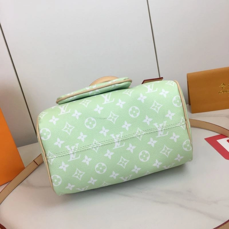 Louis Vuitton Speedy Bags Practical 88474