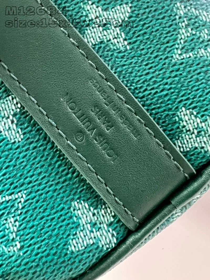 GoAnywhere Louis Vuitton Speedy Bags 41099