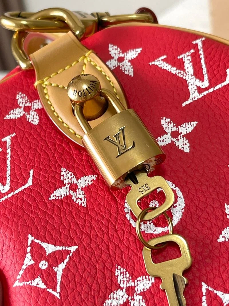 Louis Vuitton Speedy Bags Classic 41088