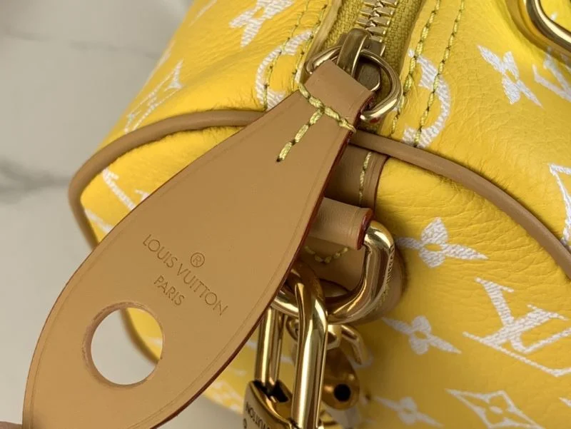 Trendsetting Louis Vuitton Speedy Bags 41149