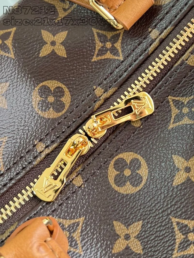 Louis Vuitton Speedy Bags Chic 41067